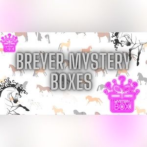 Breyer XXL mystery box